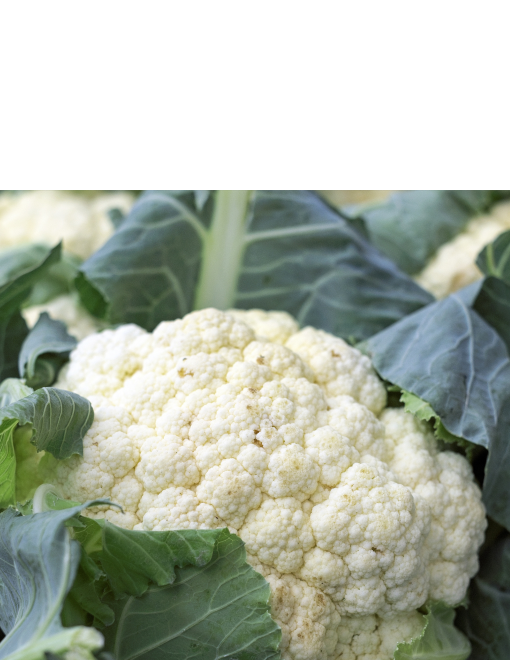 It’s Cauliflower season!